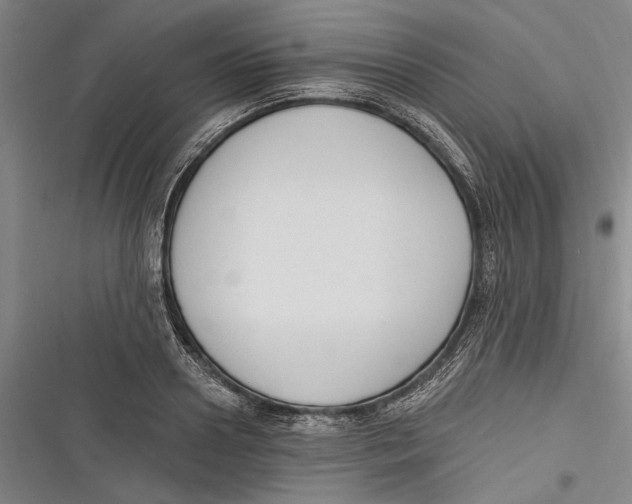 X0000116850938201001121217