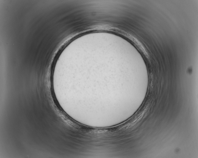 X0000116850939201001121217