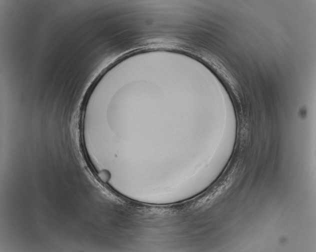 X0000116850941201001121217