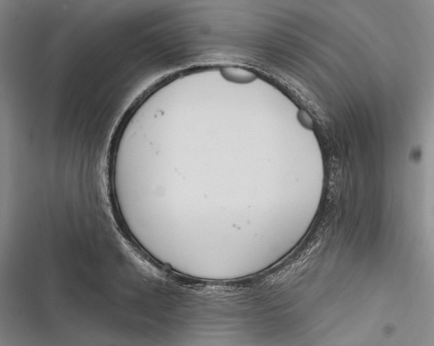 X0000116850942201001121217