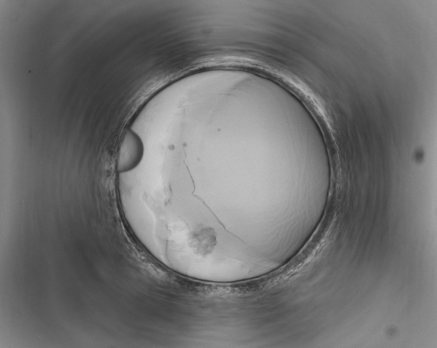 X0000116850945201001121217
