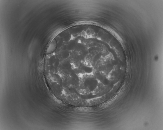 X0000116850953201001121217