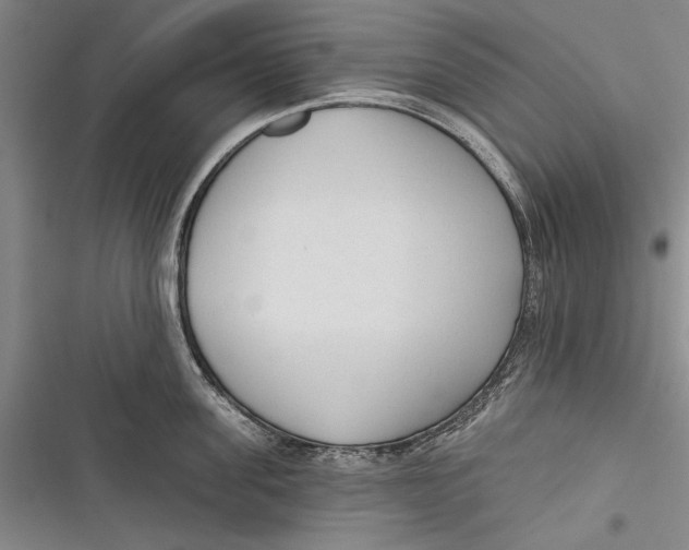 X0000116850955201001121217