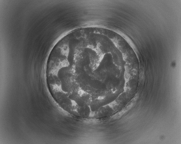 X0000116850957201001121217
