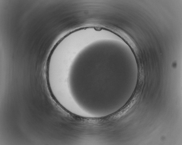 X0000116850958201001121217