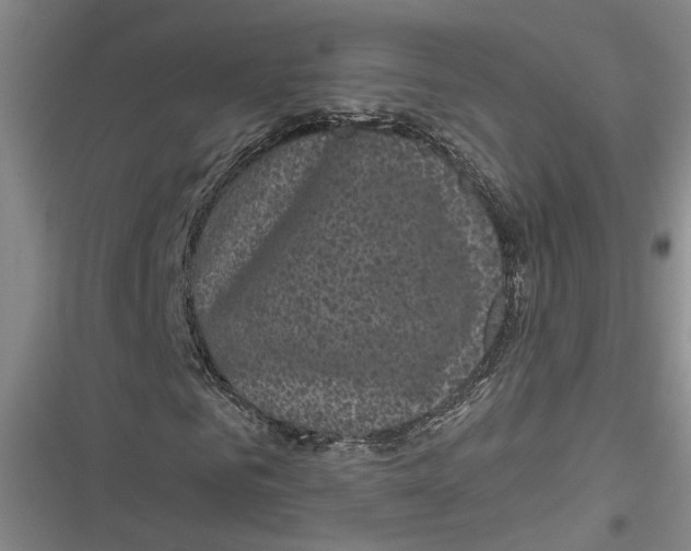 X0000116850961201001121216