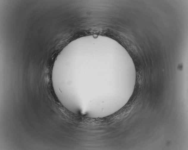 X0000116850962201001121216