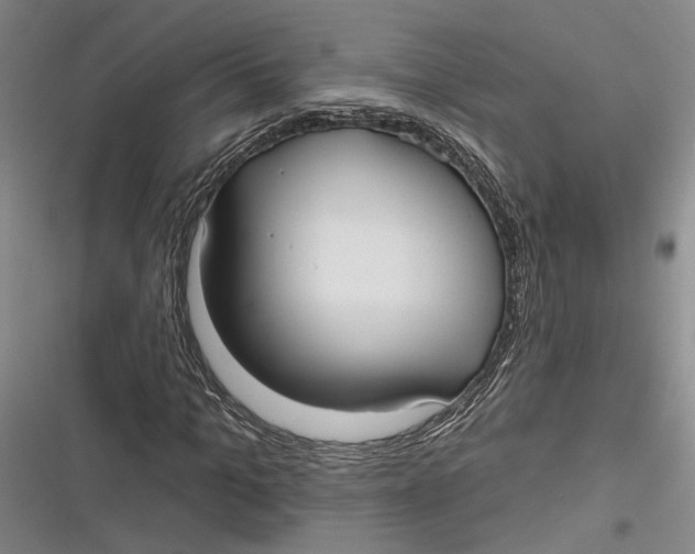 X0000116850965201001121216