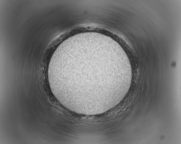X0000116850967201001121216