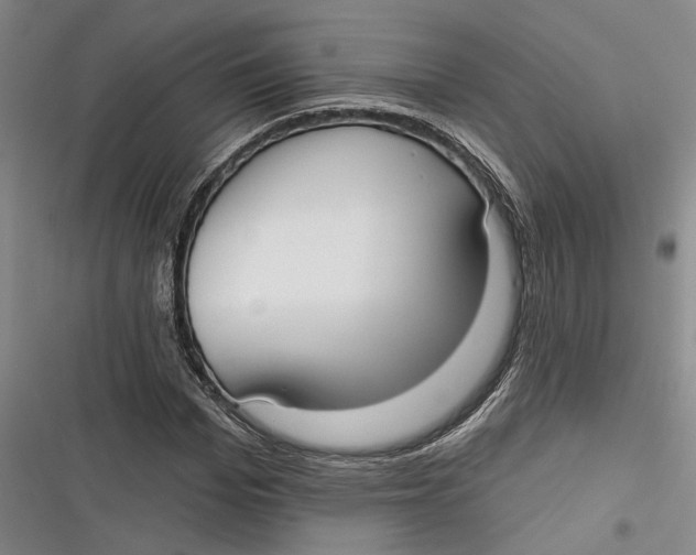 X0000116850969201001121216