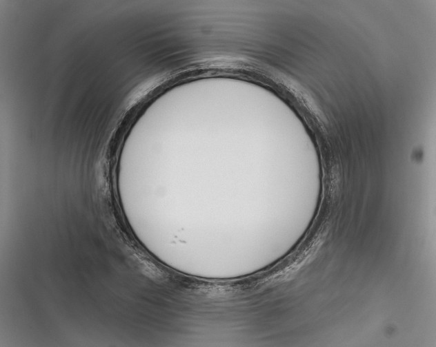 X0000116850970201001121216