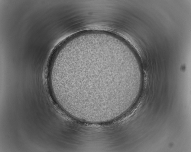 X0000116850971201001121216