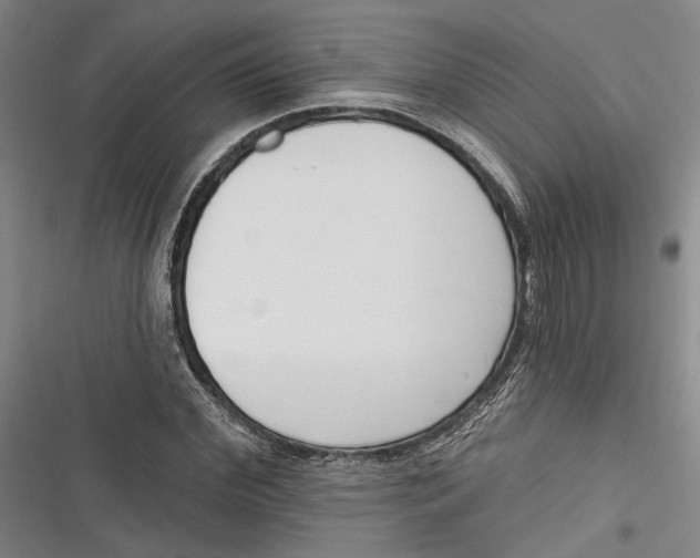 X0000116850972201001121216
