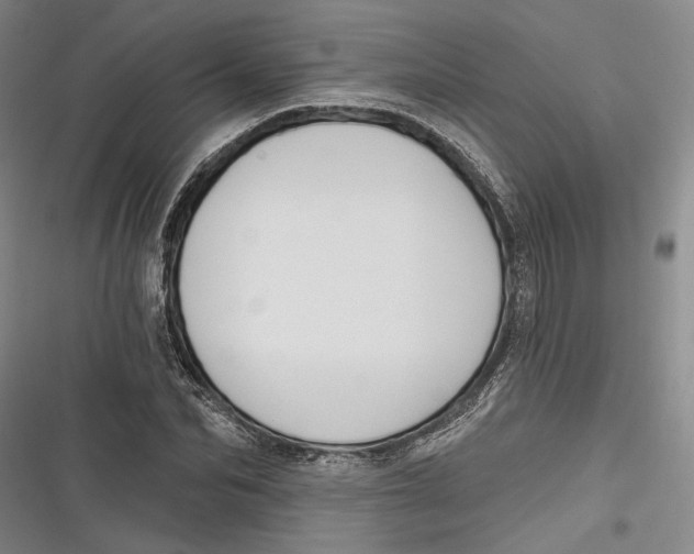 X0000116850974201001121216