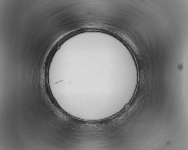 X0000116850976201001121216