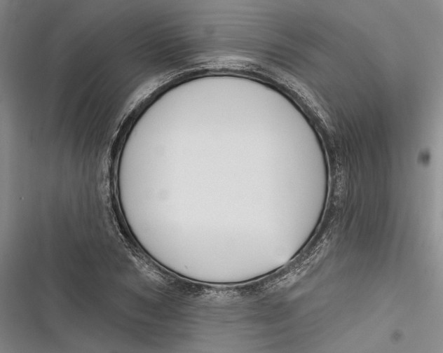 X0000116850978201001121216