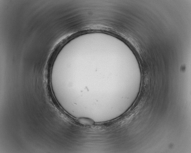X0000116850979201001121216