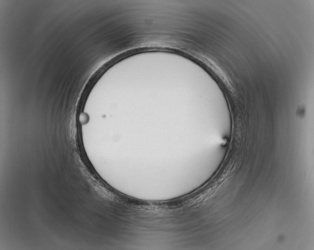 X0000116850980201001121216