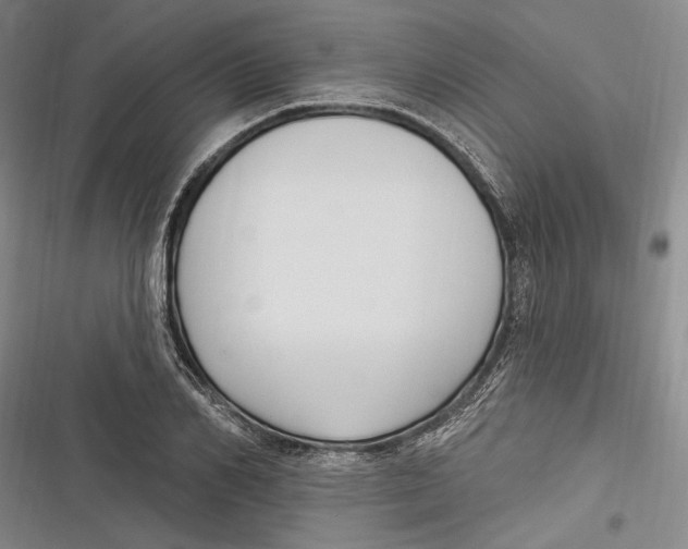 X0000116850982201001121216