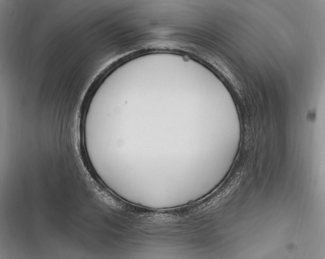 X0000116850984201001121216