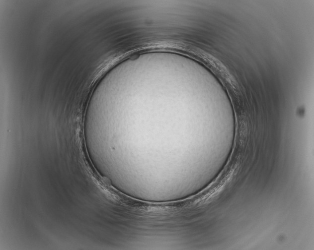 X0000116850985201001121216
