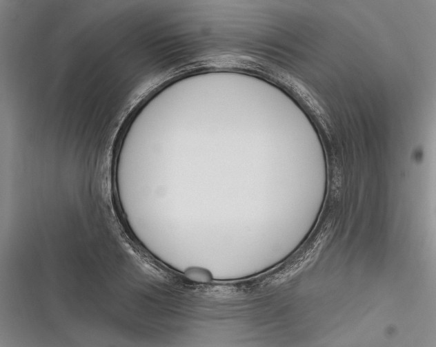 X0000116850986201001121216