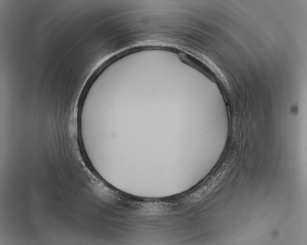 X0000116850988201001121216