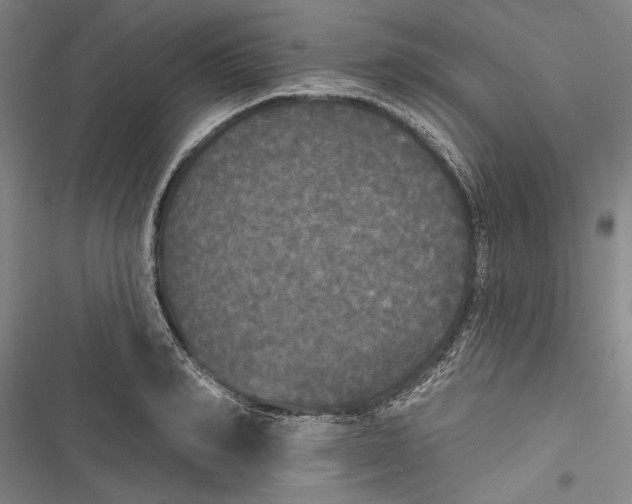 X0000116850990201001121216