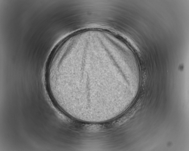 X0000116850991201001121216