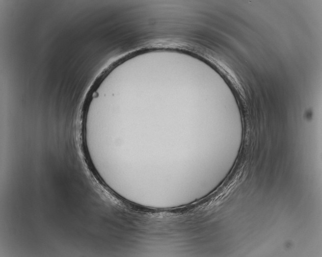 X0000116850992201001121216