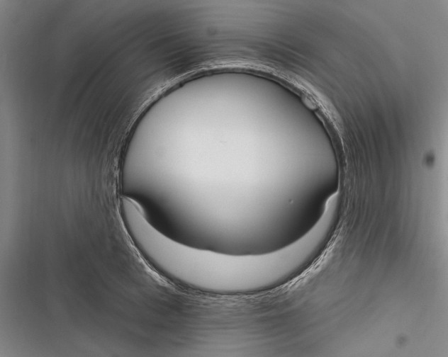 X0000116850993201001121216