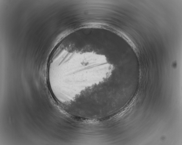 X0000116850994201001121216