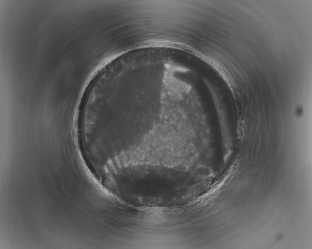 X0000116850995201001121216