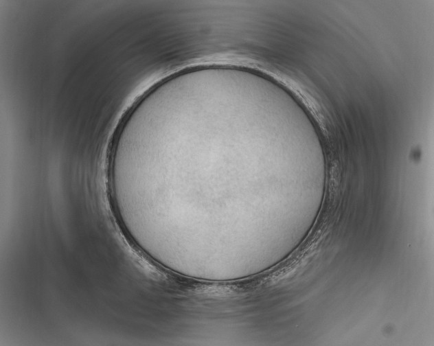 X0000116850998201001121216