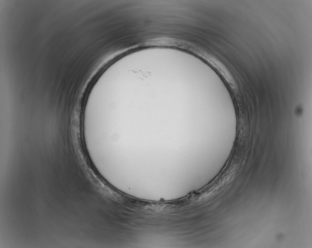 X0000116851000201001121216
