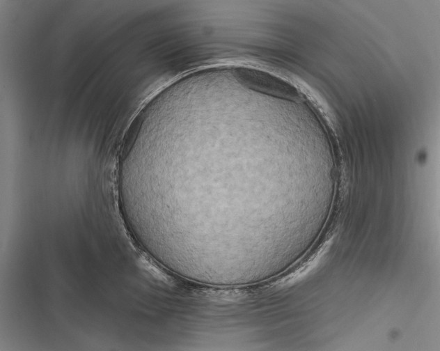 X0000116851001201001121216