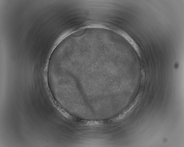 X0000116851002201001121216