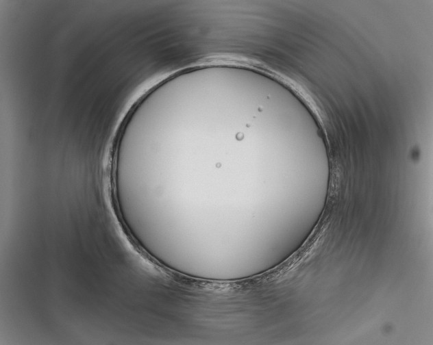 X0000116851003201001121216