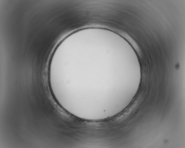 X0000116851004201001121216