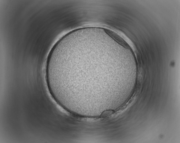X0000116851005201001121216