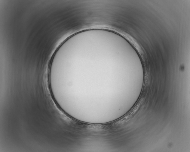 X0000116851006201001121216