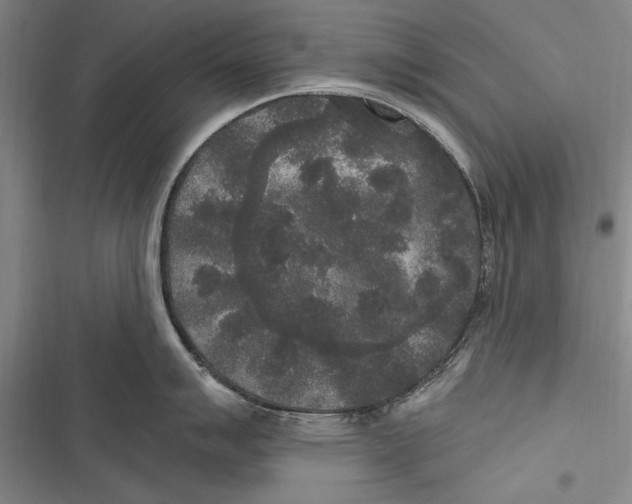 X0000116851007201001121216
