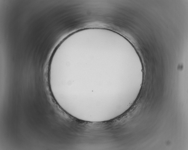 X0000116851008201001121216