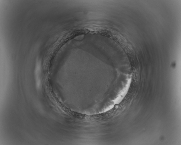 X0000116851009201001121215