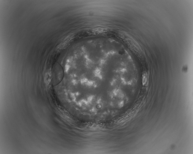 X0000116851011201001121215