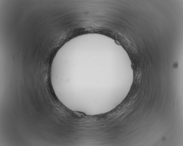 X0000116851012201001121215