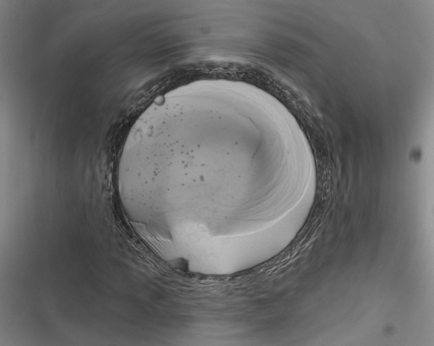 X0000116851013201001121215