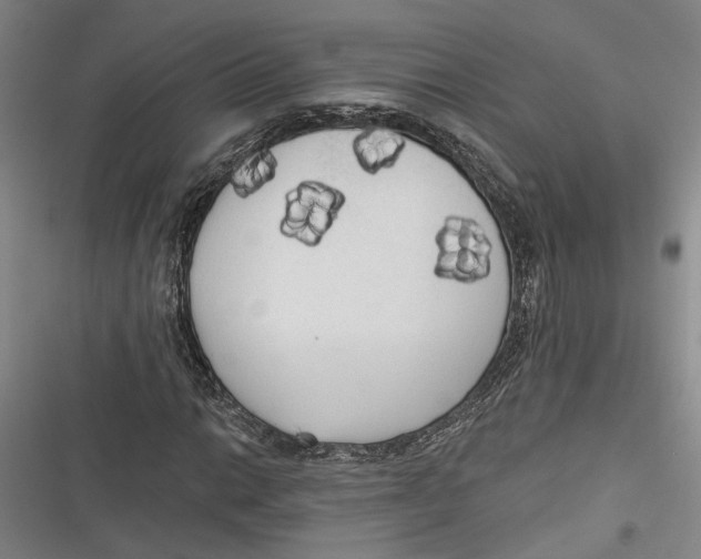 X0000116851014201001121215