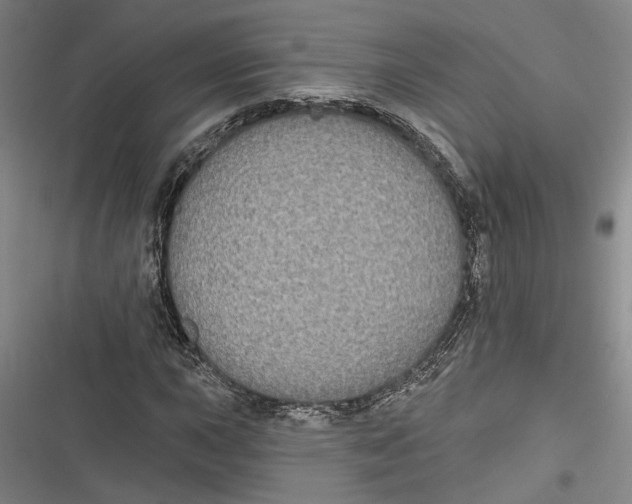 X0000116851015201001121215