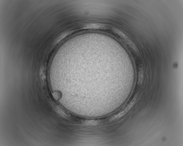 X0000116851017201001121215